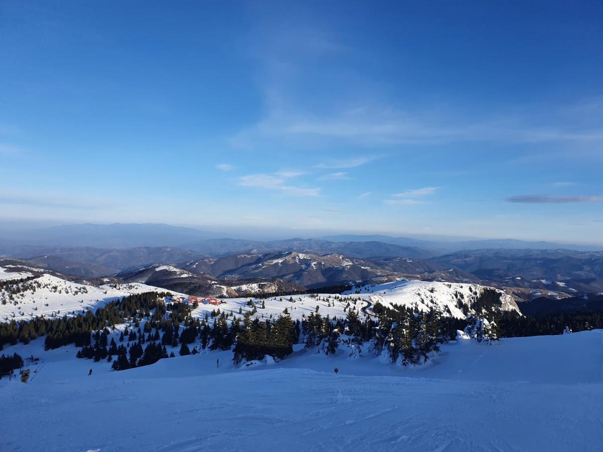 Planinsko Jutro - Brzece Centar Apartments, Kopaonik المظهر الخارجي الصورة
