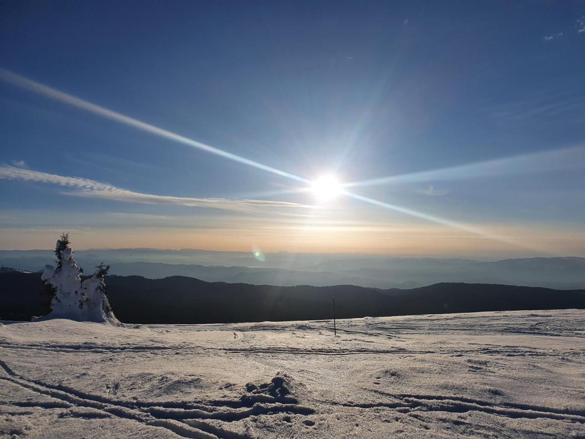 Planinsko Jutro - Brzece Centar Apartments, Kopaonik المظهر الخارجي الصورة